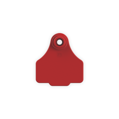 Small Female - Custom Designed Ear Tag – Yolla Ear Tags