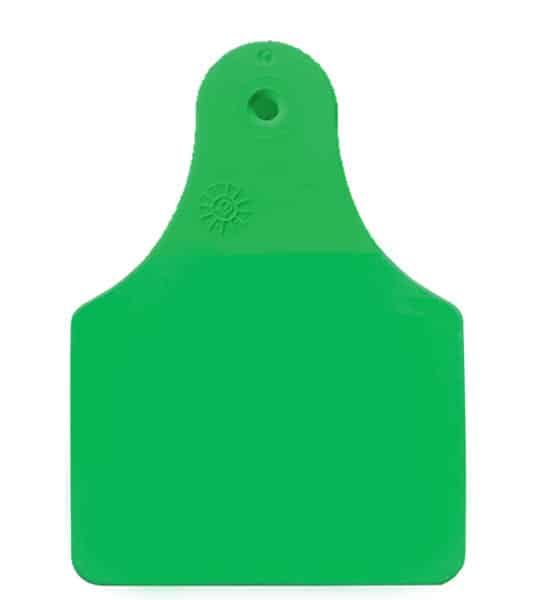 Allflex - Maxi Male Ear Tag